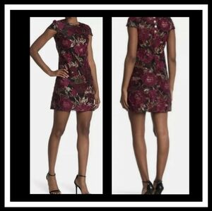 Sam Edelman Velour Vintage Inspired Burnout Dress Size 8